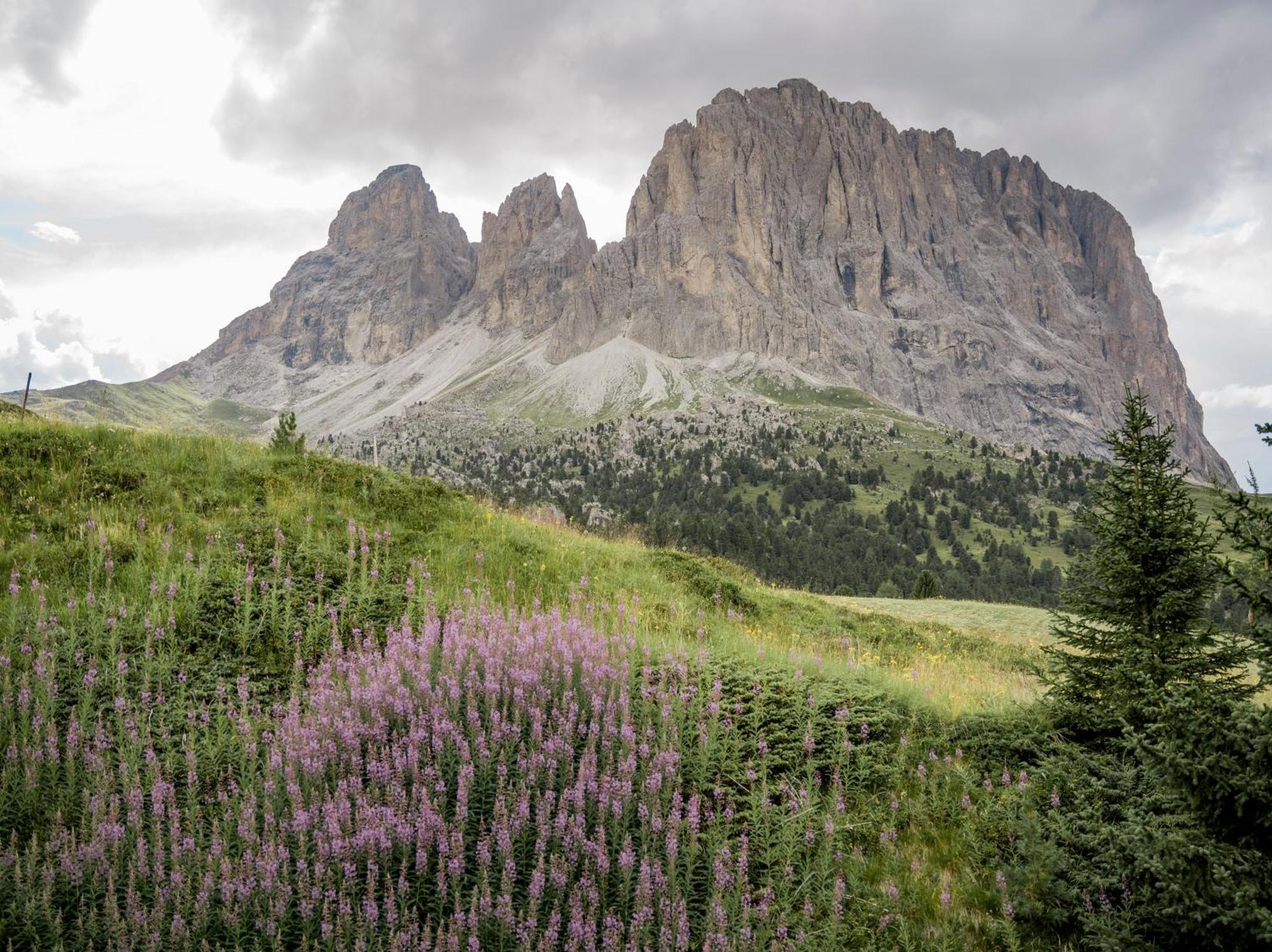 Charme Hotel Uridl Santa Cristina Val Gardena 외부 사진